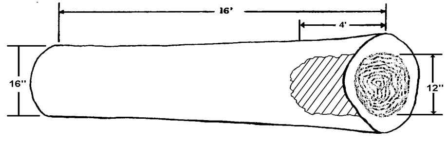 16-foot long log showing a spot of rot on one side